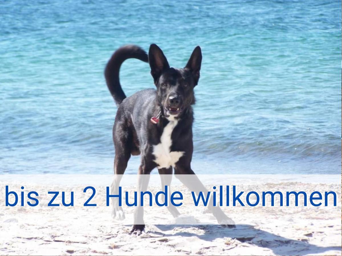 Boeltser Hus Ferienwohnungen Mit Strandkorb Und Kamin 10 Gehminuten Zum Kurtaxefreien Sandstrand Kraksdorf Esterno foto