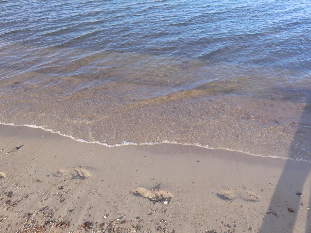 Boeltser Hus Ferienwohnungen Mit Strandkorb Und Kamin 10 Gehminuten Zum Kurtaxefreien Sandstrand Kraksdorf Esterno foto